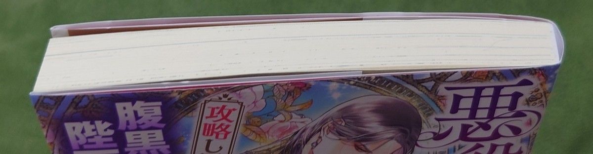 TL 悪役令嬢のモブ姉ですが、攻略してないのに腹黒陛下に溺愛されてい【SS付き】他1冊