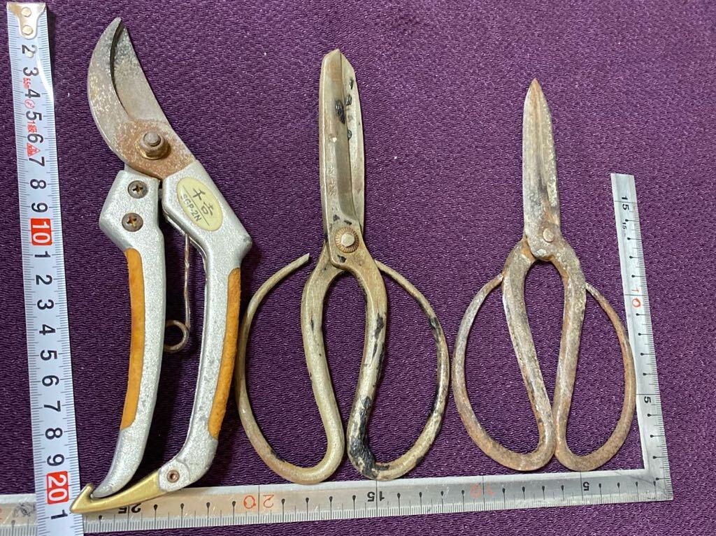  pruning .3ps.@ thousand .SGP-2N / Sakai regular preeminence / other plant tongs pruning scissors old . rust gla attaching equipped junk scissors 
