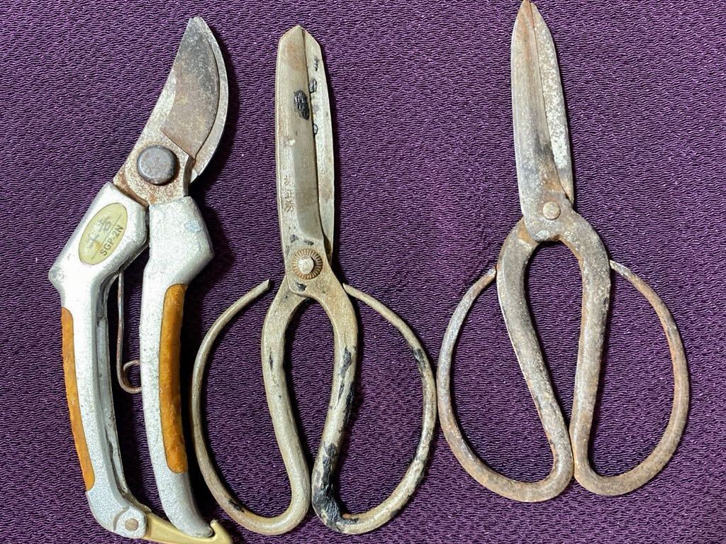  pruning .3ps.@ thousand .SGP-2N / Sakai regular preeminence / other plant tongs pruning scissors old . rust gla attaching equipped junk scissors 