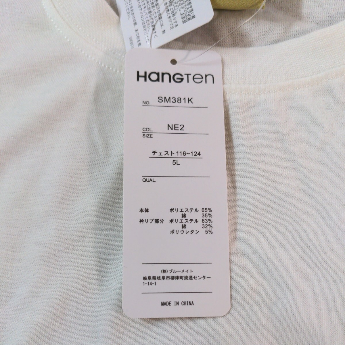 W☆新品☆HANGTEN☆半袖Ｔシャツ☆5L☆男性用☆ホワイト☆No.1579の画像6