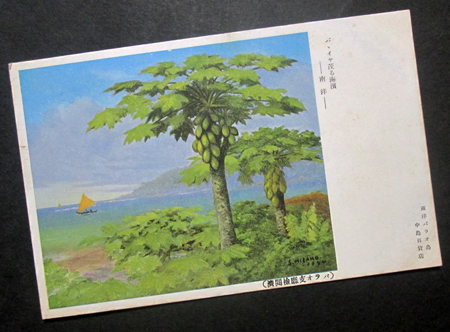 PB82【戦前絵葉書】パパイヤ茂る海浜　南洋パラオ島　（美術画/風景画）_画像1