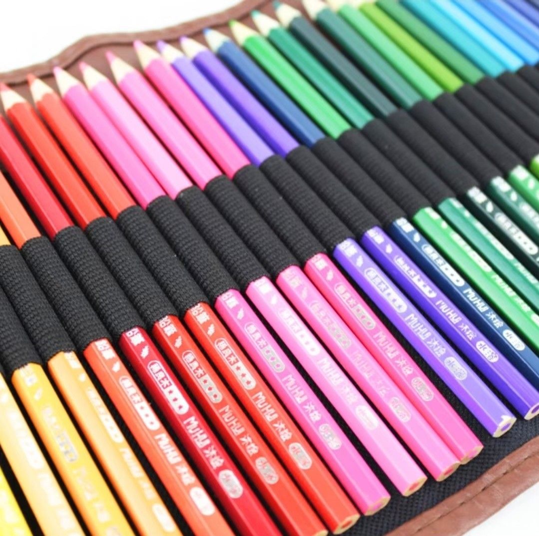 色鉛筆 お絵描き 色彩 多彩 趣味 絵画 プレゼント 誕生日 色 鉛筆  48色 色鉛筆 画材 収納ケース 水彩色えんぴつ