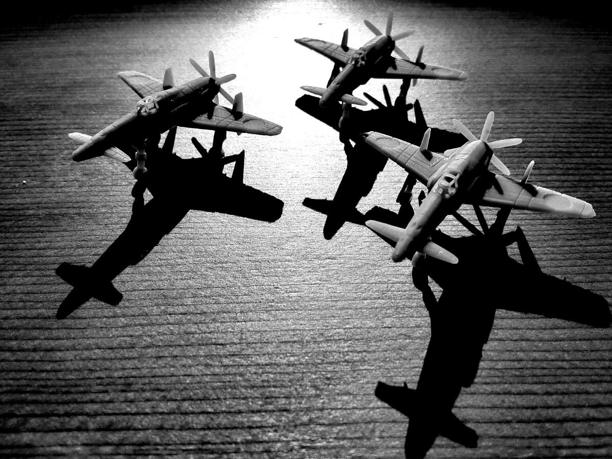 幻の局地戦闘機「震電」 模型 3機入り 値段交渉可能の画像2