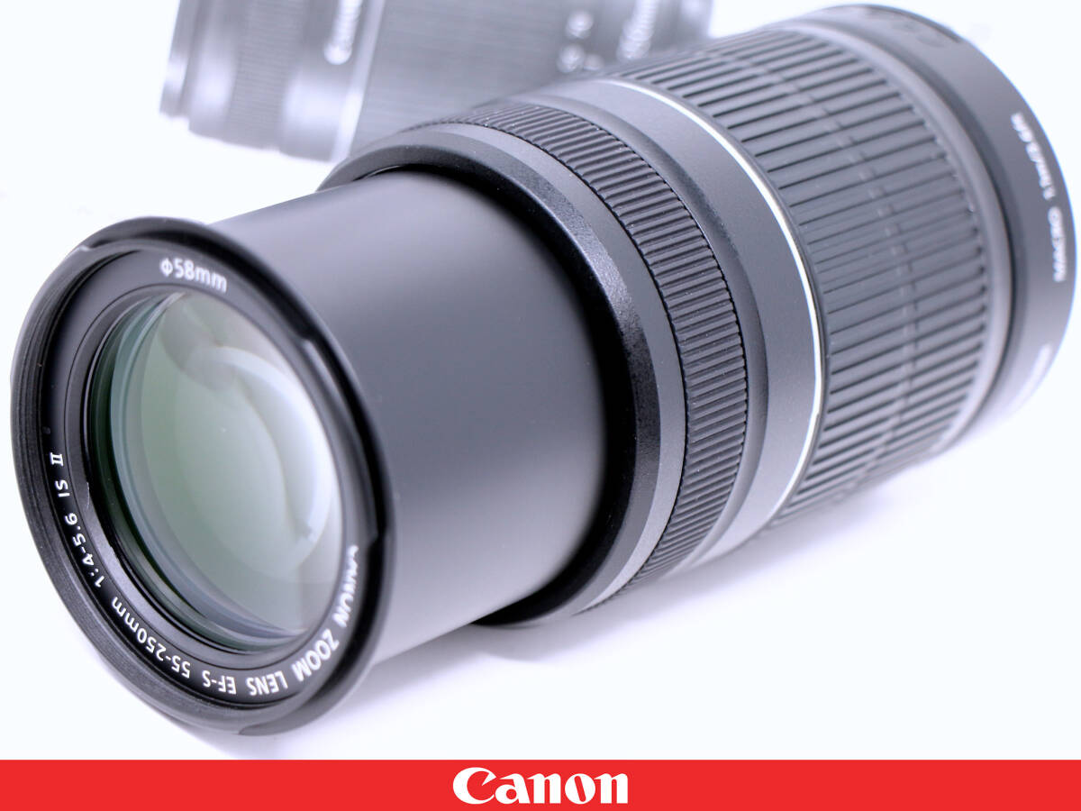 ◆極上美品◆Canon キャノン EF-S55-250mm F4-5.6 IS Ⅱ 2☆元箱 説明書付属◇高性能手ブレ補正軽量コンパクト望遠ズーム★EF-S55-250IS2の画像9