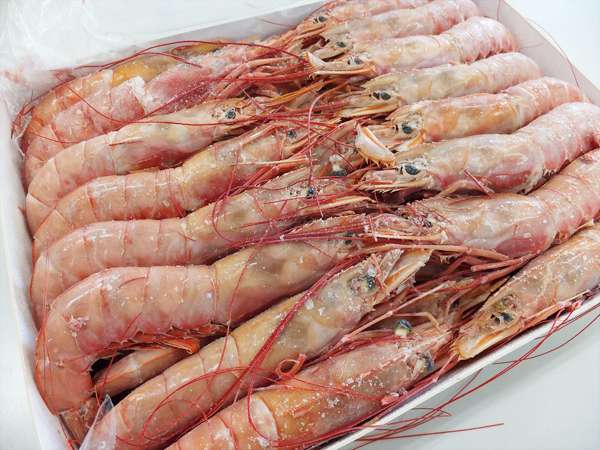  red ..2kg 40-60 tail L-2 red shrimp red sea ..... red shrimp .. shrimp sea .. sashimi . sushi BBQ barbecue 