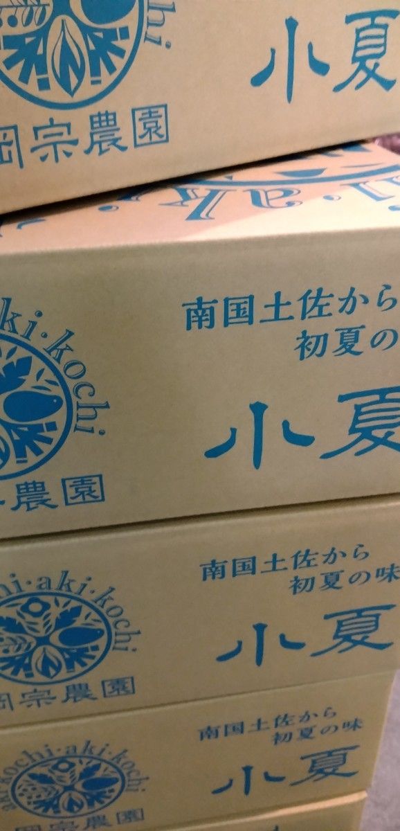 高知県産　ハウス小夏　2Lサイズ　5kg 　送料無料　お買い得(^^)　2箱セット　お買い得