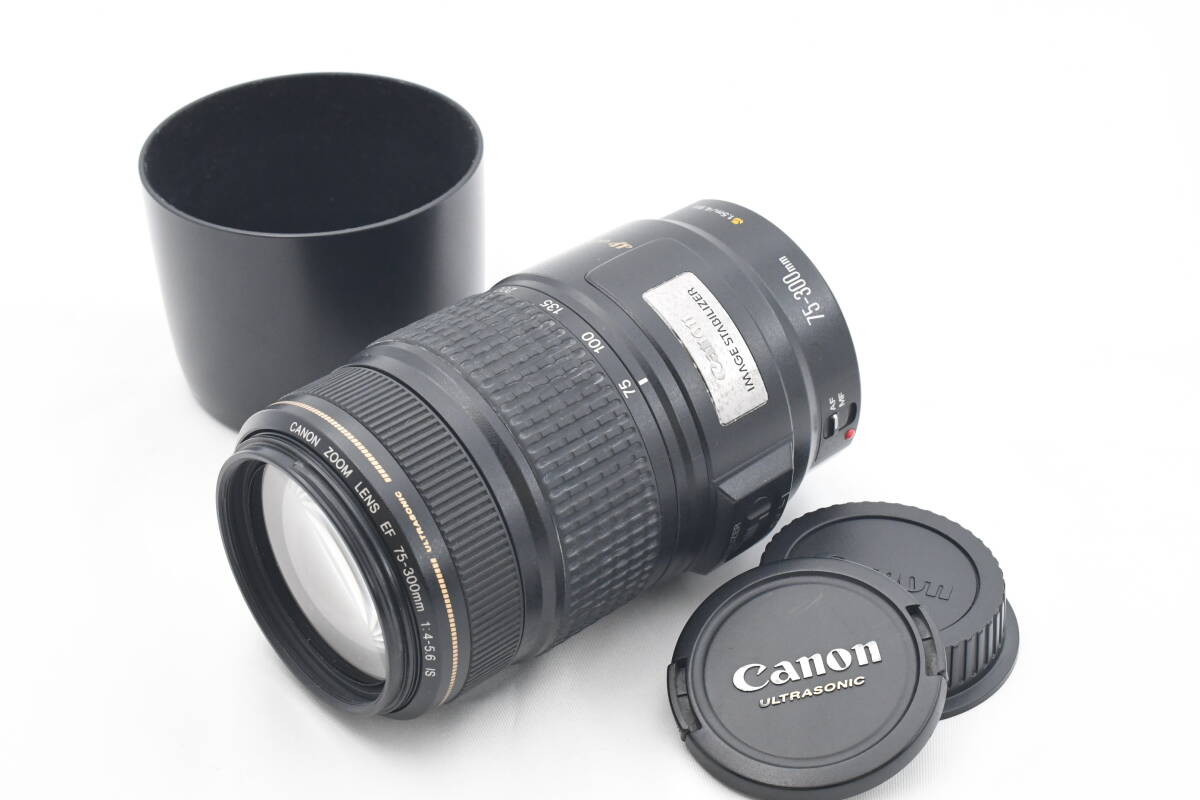 CANON キャノン ZOOM LENS EF 75-300mm F4-5.6 IS ズームレンズ (t7315)
