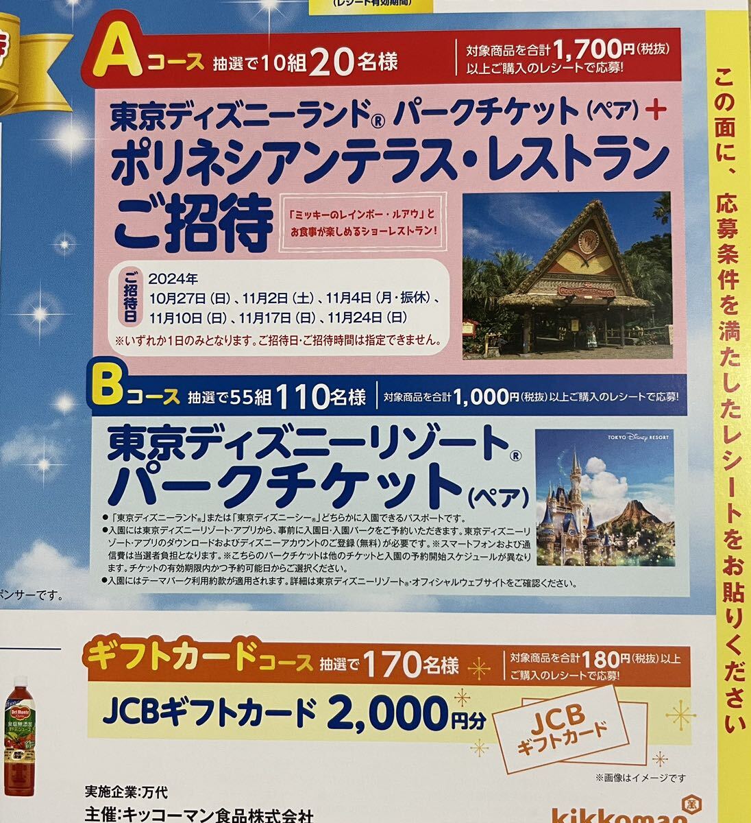  懸賞　応募☆東京ディズニーリゾートパークチケットペア　55組110名様_画像1