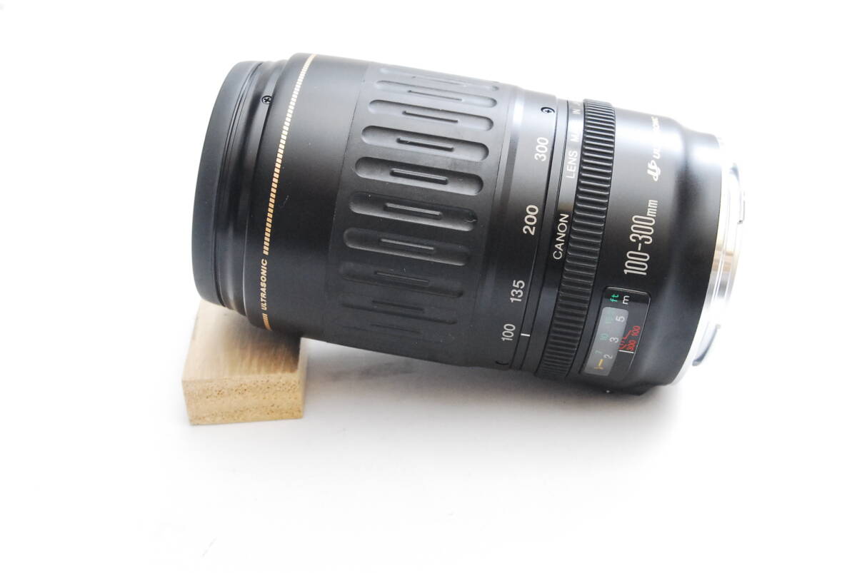 CANON ZOOM LENS EF 100-300mm1:4.5-5.6USM 04-17-39の画像3