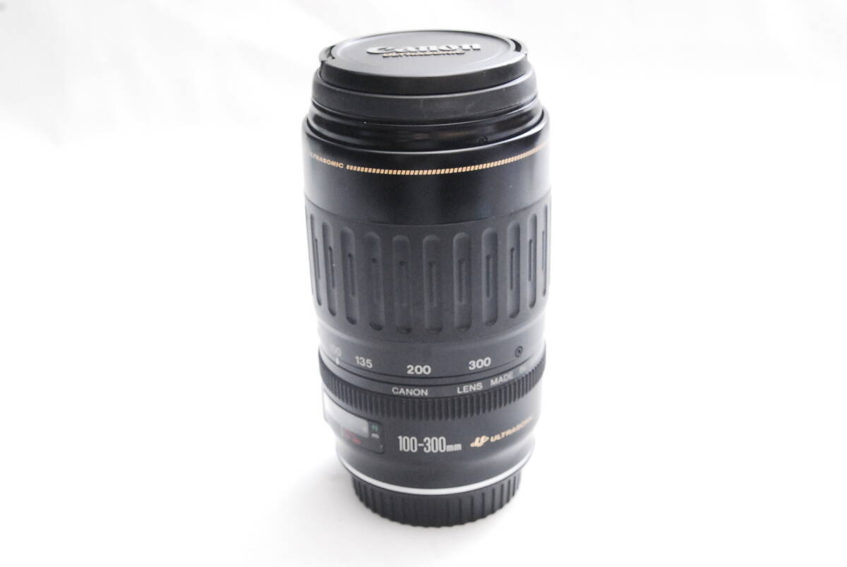 CANON ZOOM LENS EF 100-300mm1:4.5-5.6USM 04-17-41の画像5