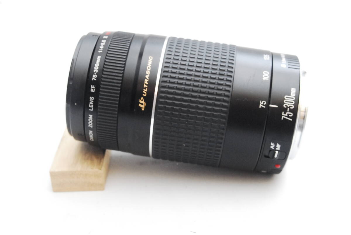 CANON ZOOM LENS EF 75-300mm 1:4-5.6Ⅲ USM 04-27-10の画像3