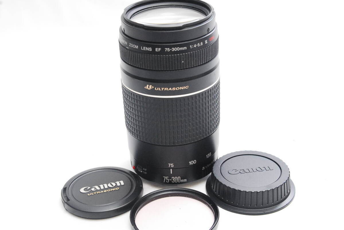 CANON ZOOM LENS EF 75-300mm1:4-5.6ⅢUSM 04-27-12の画像1