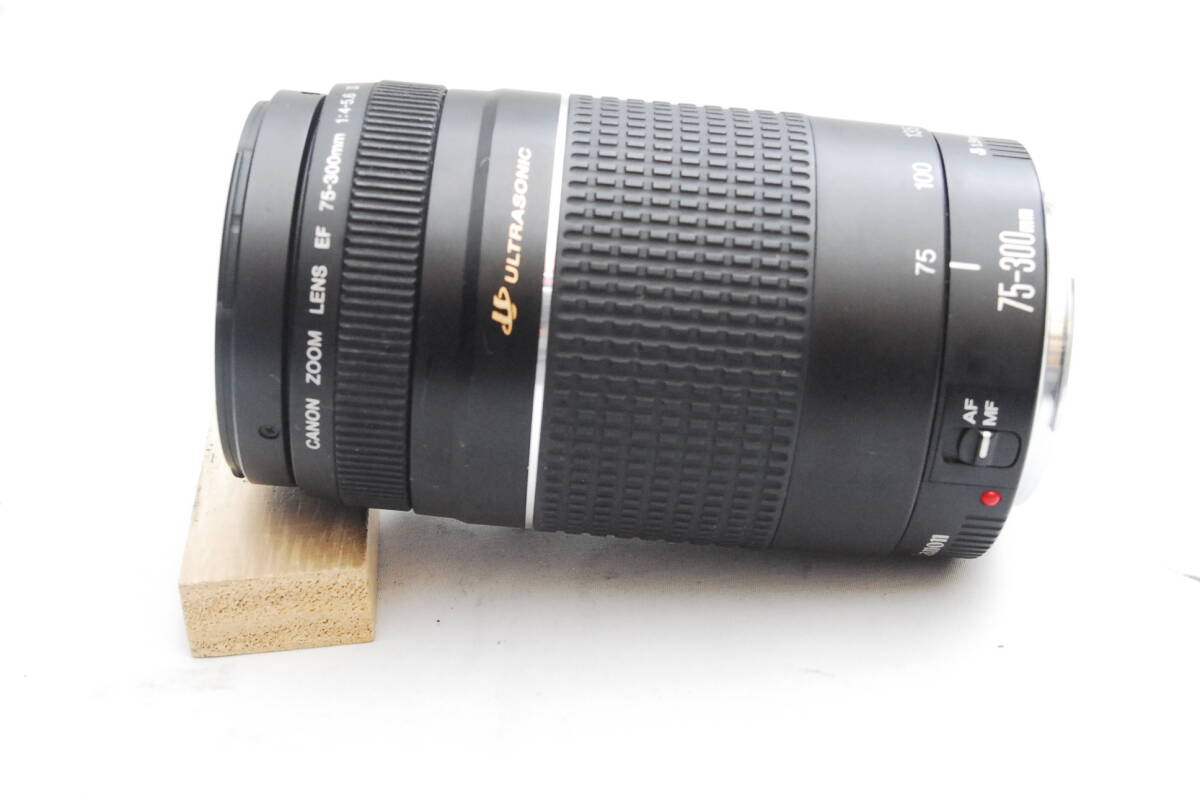 CANON ZOOM LENS EF 75-300mm 1:4-5.6Ⅲ USM 04-27-13の画像3