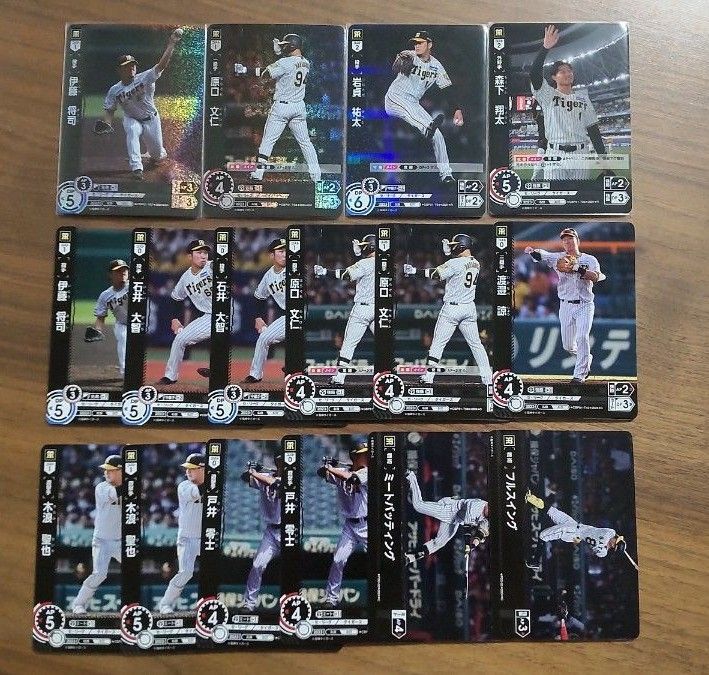 ドリームオーダー 阪神タイガースセット DREAM ORDER 2024 ドリームオーダー 阪神タイガースセット DREAM ORDER 2024