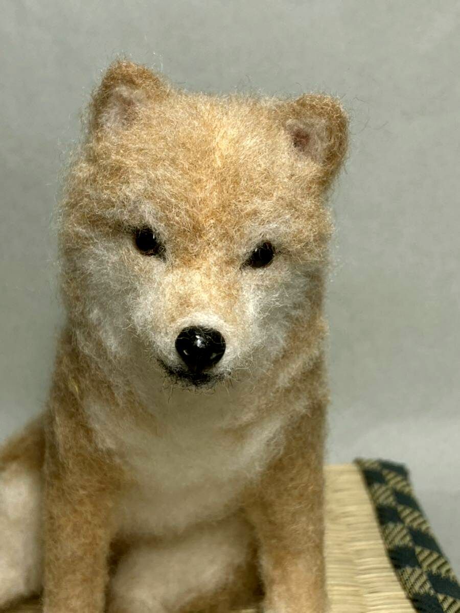 羊毛フェルト　シニア柴犬　ハンドメイド_画像1