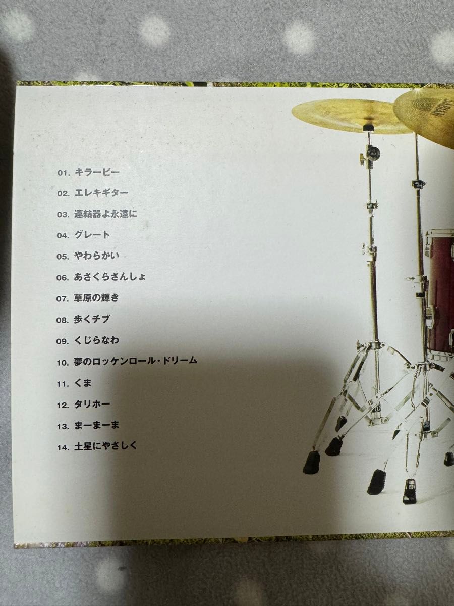 クロマニヨンズ　1stアルバム　ザ　クロマニヨンズ　CD DVD付き 初回限定盤　紙ジャケット仕様