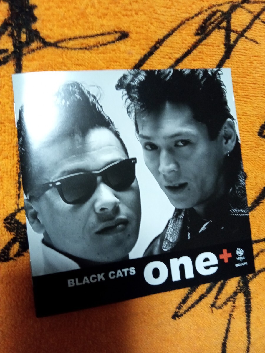 美品☆　ブラックキャッツ　cd ONE+　ロカビリー　ウッドベース　クリームソーダ　ロックンロール　ネオロカビリー　_画像1