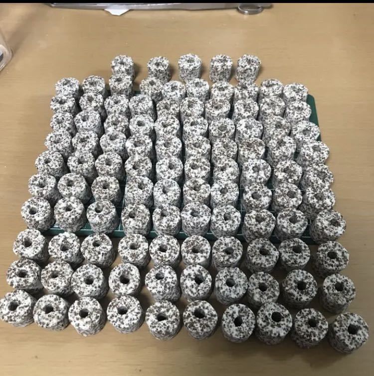 .. material, filter media, filter, accessory ring high quality natto . entering many . quality power ring 100+5 immediately hour shipping postage included 