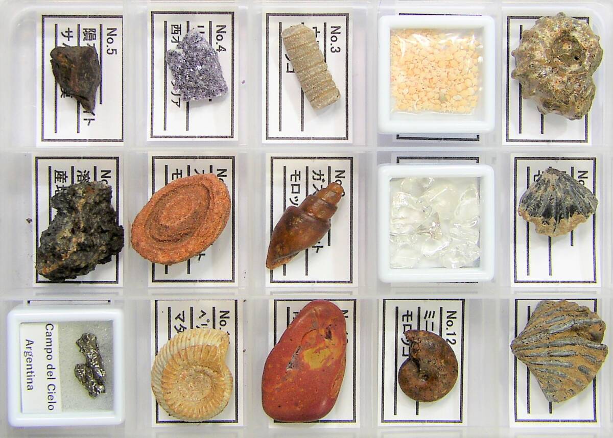 meteorite * mineral * fossil specimen 30 kind specimen label * instructions attaching 