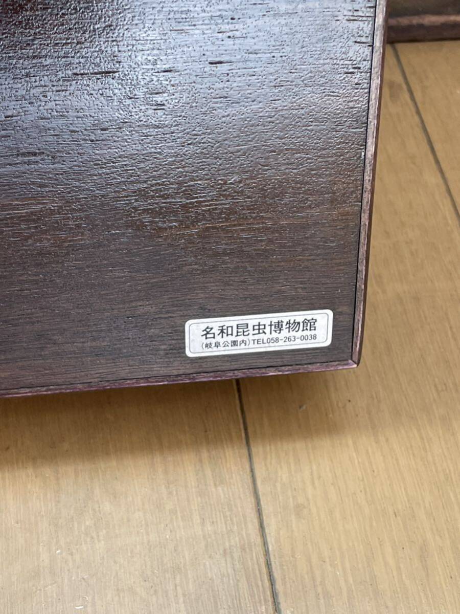 【昆虫用品】ドイツ箱　中古品_画像3