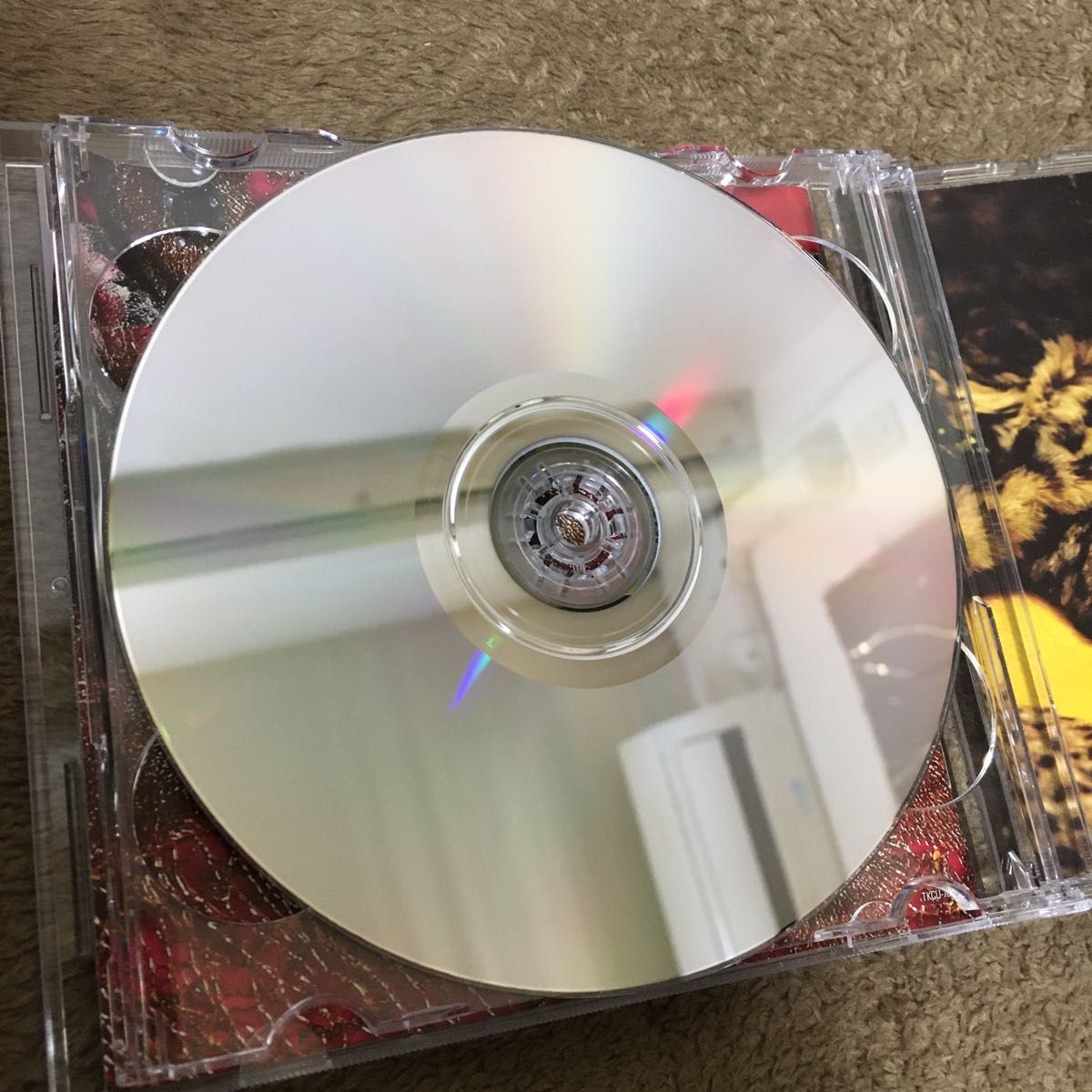 (初回限定盤)CD＋DVD アリプロジェクト　快楽のススメ