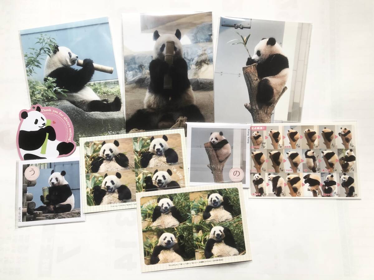  car n car n not for sale ... manner life photograph 3 pieces set 2 collection 2L photograph postcard message card total 9 point * Ueno zoo ja Ian to Panda Novelty 