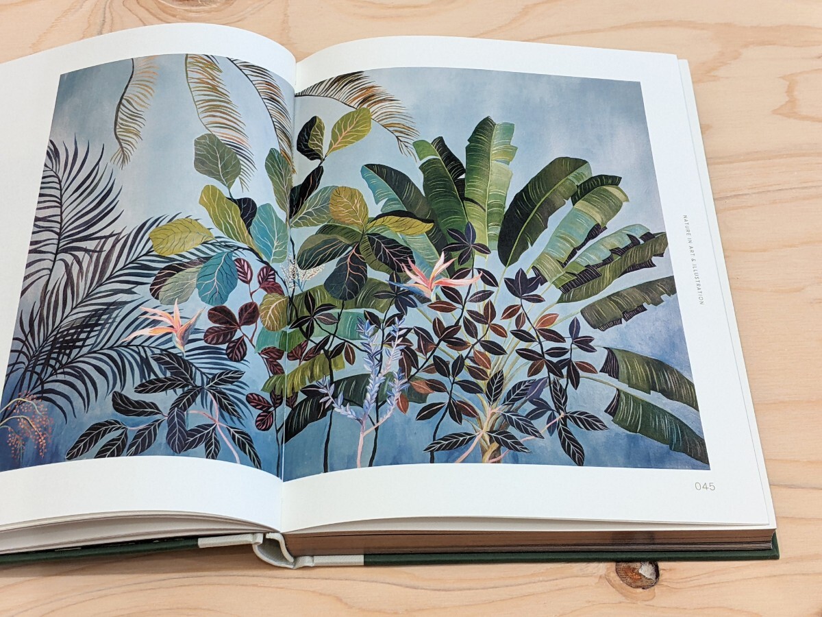 【洋書 新品】Botanical Inspiration: Nature in Art and Illustration / ボタニカル インスピレーション ボタニカルアート_画像7