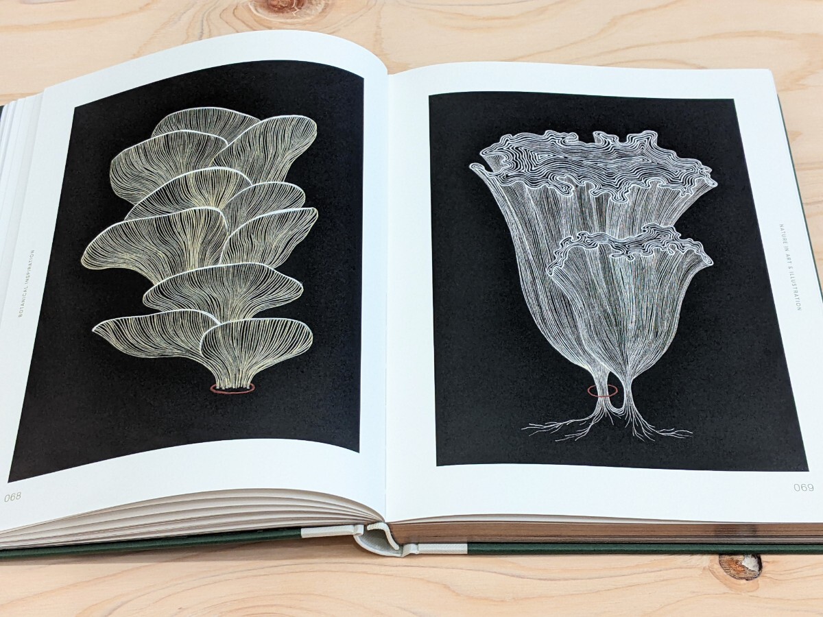 【洋書 新品】Botanical Inspiration: Nature in Art and Illustration / ボタニカル インスピレーション ボタニカルアート_画像9