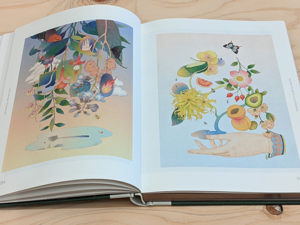 【洋書 新品】Botanical Inspiration: Nature in Art and Illustration / ボタニカル インスピレーション ボタニカルアート_画像8