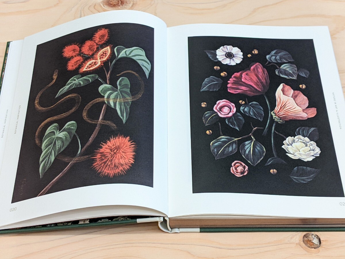 【洋書 新品】Botanical Inspiration: Nature in Art and Illustration / ボタニカル インスピレーション ボタニカルアート_画像6