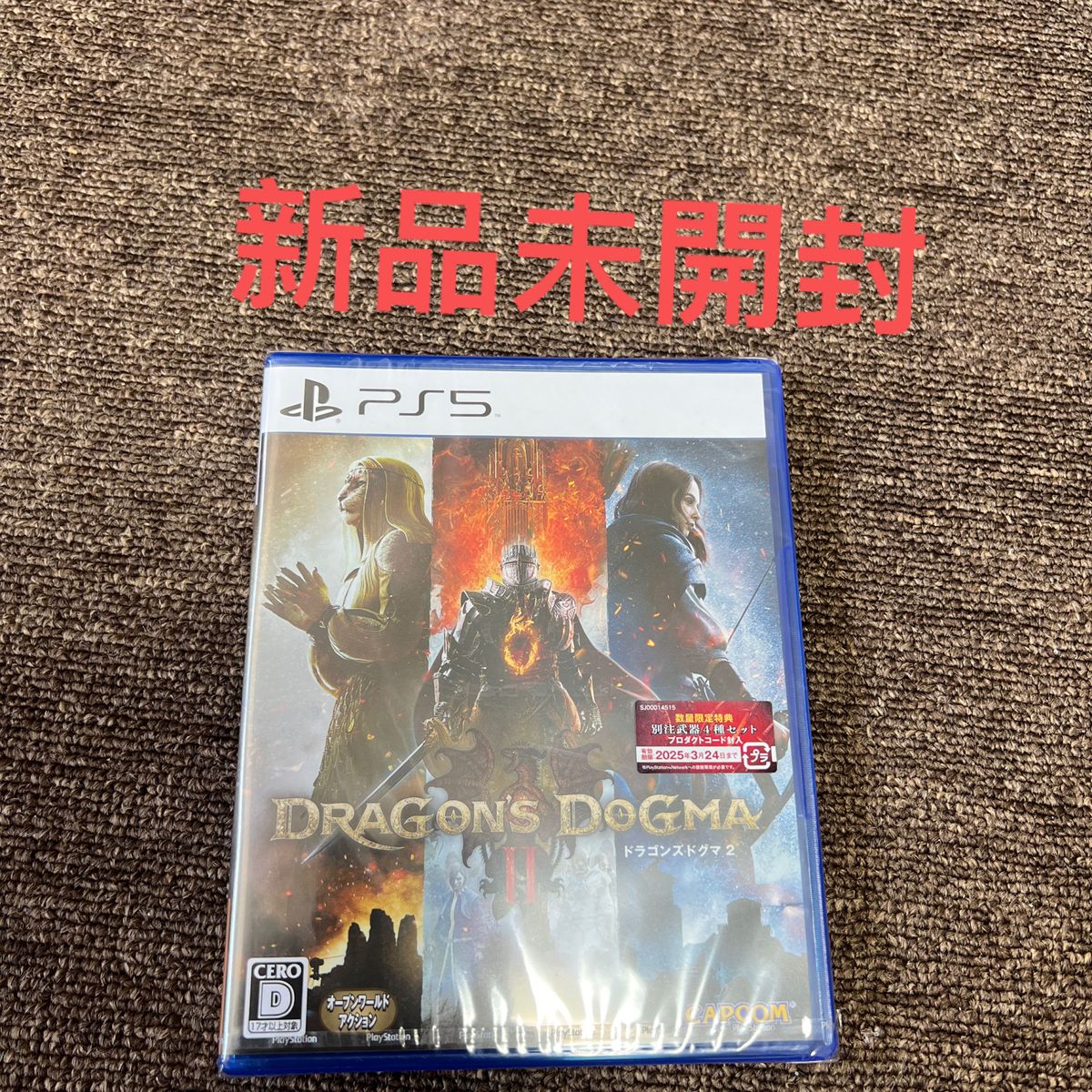 【PS5】 ドラゴンズドグマ2