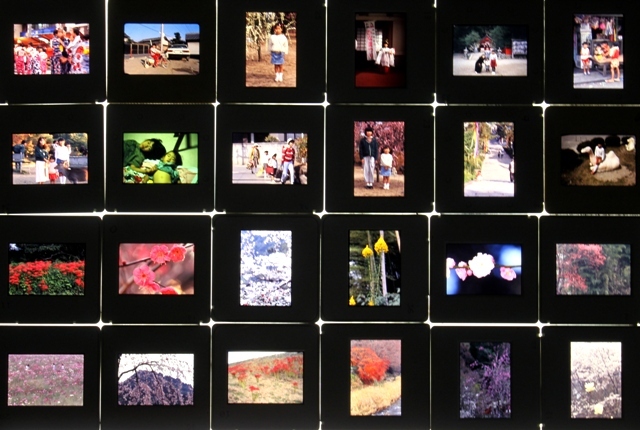 スライドフィルム 約450枚 36枚撮り 12本分 1980年代撮影 35mmポジフィルム 家族写真 風景 花 行事等 未整理 ジャンクの画像2