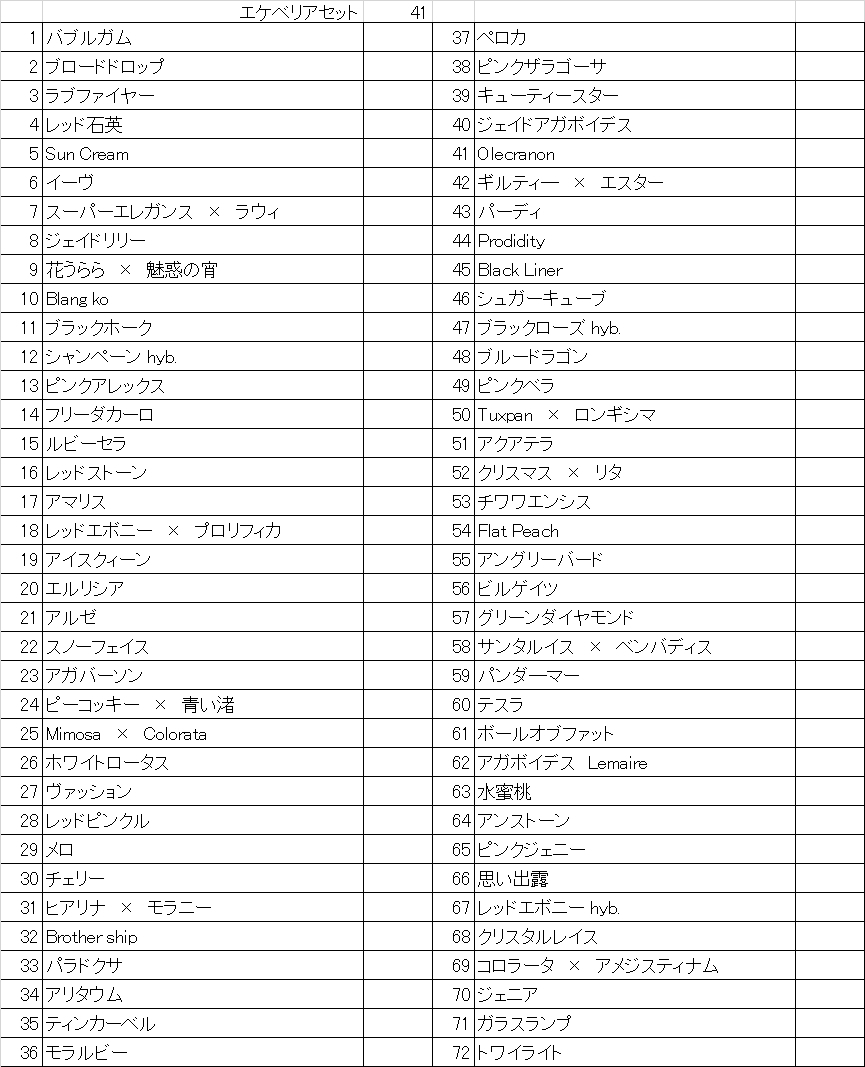 送料無料！エケベリア72種セット！【41】トレイのまま発送 ！【多肉植物】【観葉植物】【おてがる配送】_画像3