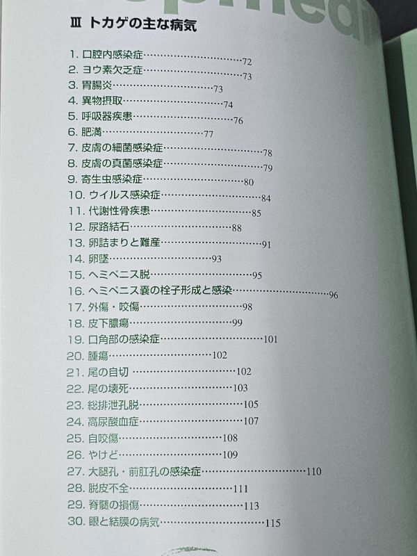 4-27-P3　爬虫類の病気ハンドブック （ソフトカバー） 2008/10/30　小家山 仁 (著)　本_画像6