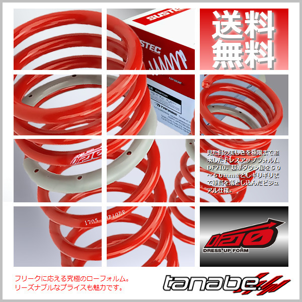 タナベ tanabe ダウンサス (DF210) (前後set) セレナ C25 (20S/20RS/RX/G)(FF 2000 NA H17/5-H22/11) C25DK_画像1