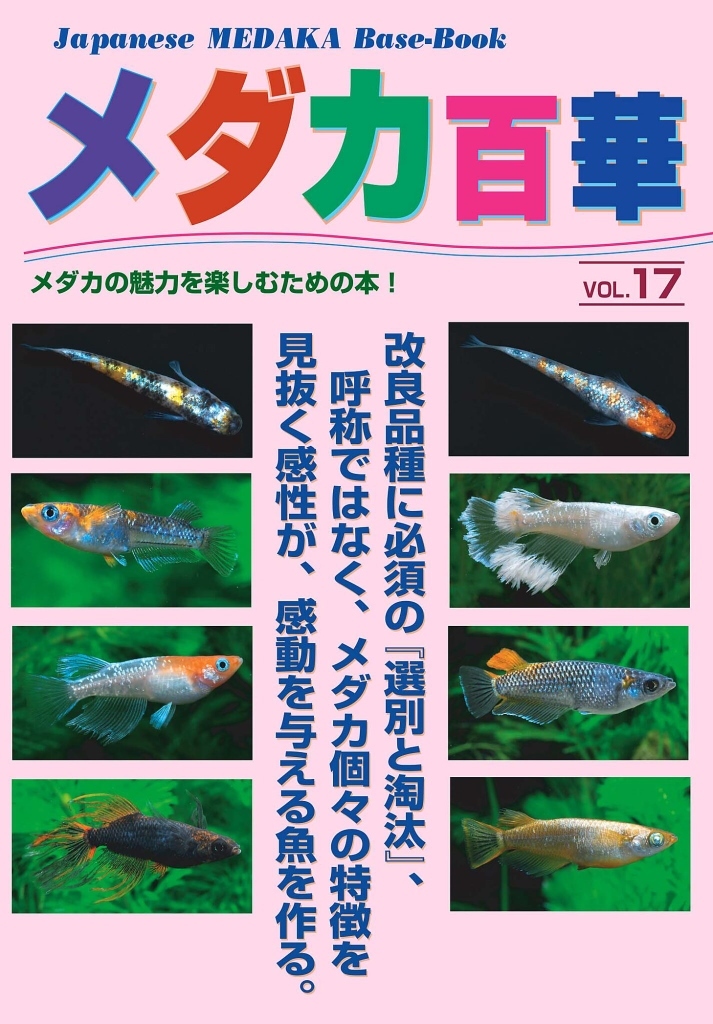 メダカ百華VOL.１7 １冊  2024年3月20日発売！  メダカ 金魚 熱帯魚 観賞魚 エビの画像1