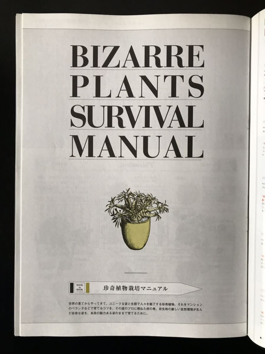 即決★2019 BRUTUS ブルータス 新・珍奇植物 ビザールプランツ大博覧会 特別付録・珍奇植物栽培マニュアル アガベ ティタノタ ヘクティアの画像7