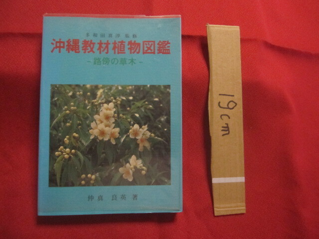 * Okinawa teaching material plant illustrated reference book -... . tree - many peace rice field genuine .... genuine good britain work [ Okinawa *. lamp * nature * plant ]