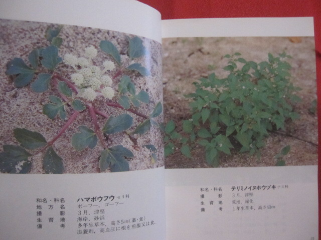 * Okinawa teaching material plant illustrated reference book -... . tree - many peace rice field genuine .... genuine good britain work [ Okinawa *. lamp * nature * plant ]