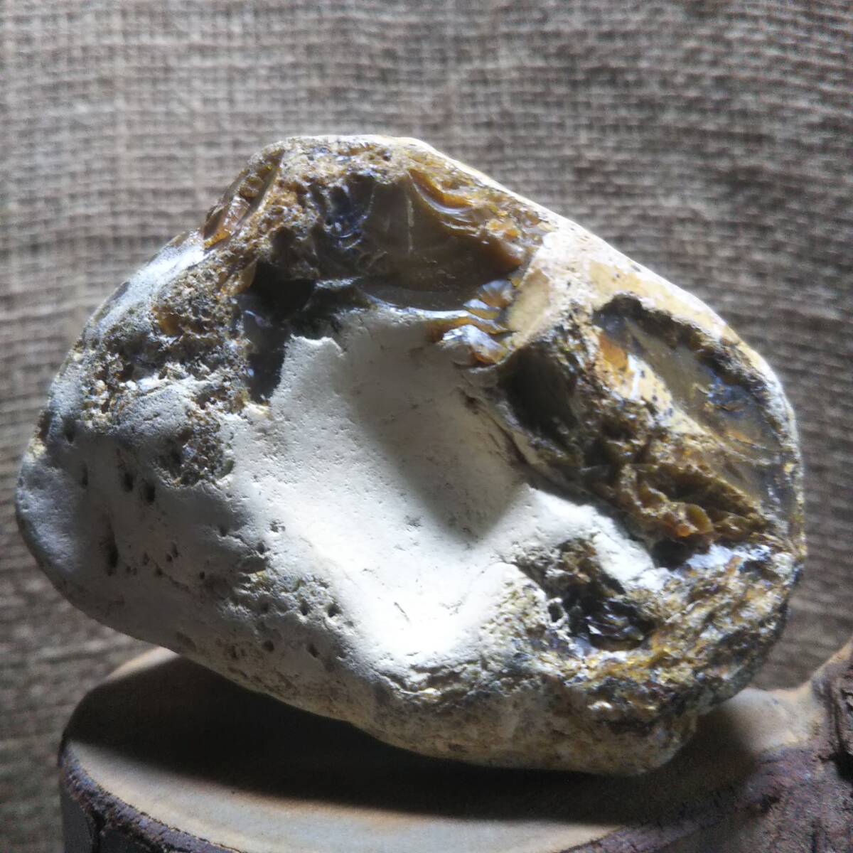 珪化木 碧玉 ジャスパー パワーストーン 化石 自然石 225.5gの画像1