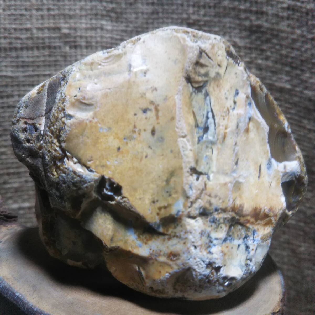 珪化木 碧玉 ジャスパー パワーストーン 化石 自然石 225.5gの画像3