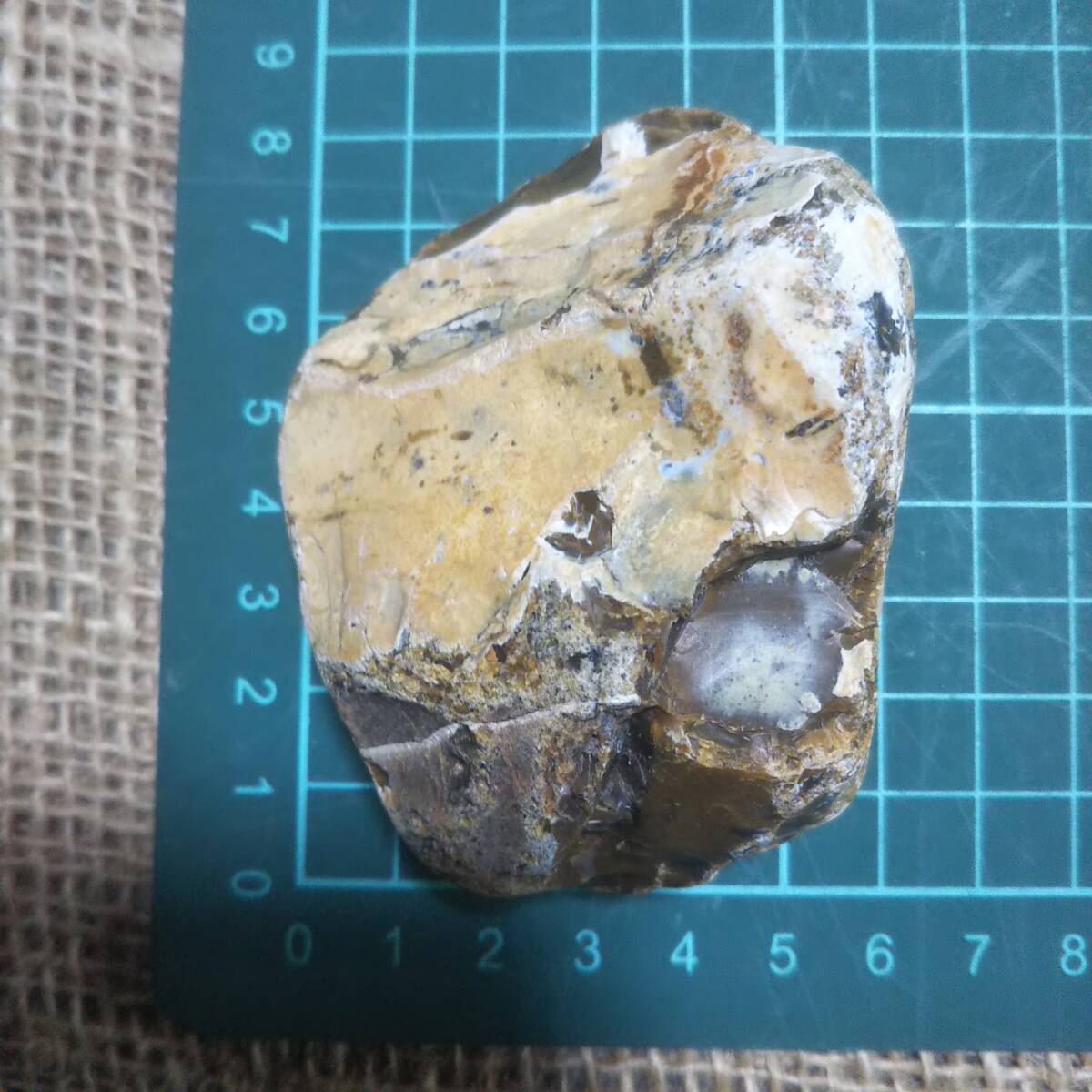珪化木 碧玉 ジャスパー パワーストーン 化石 自然石 225.5gの画像9