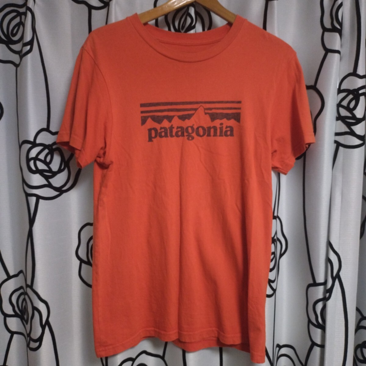 パタゴニア　ビッグロゴ　Tシャツ_画像1
