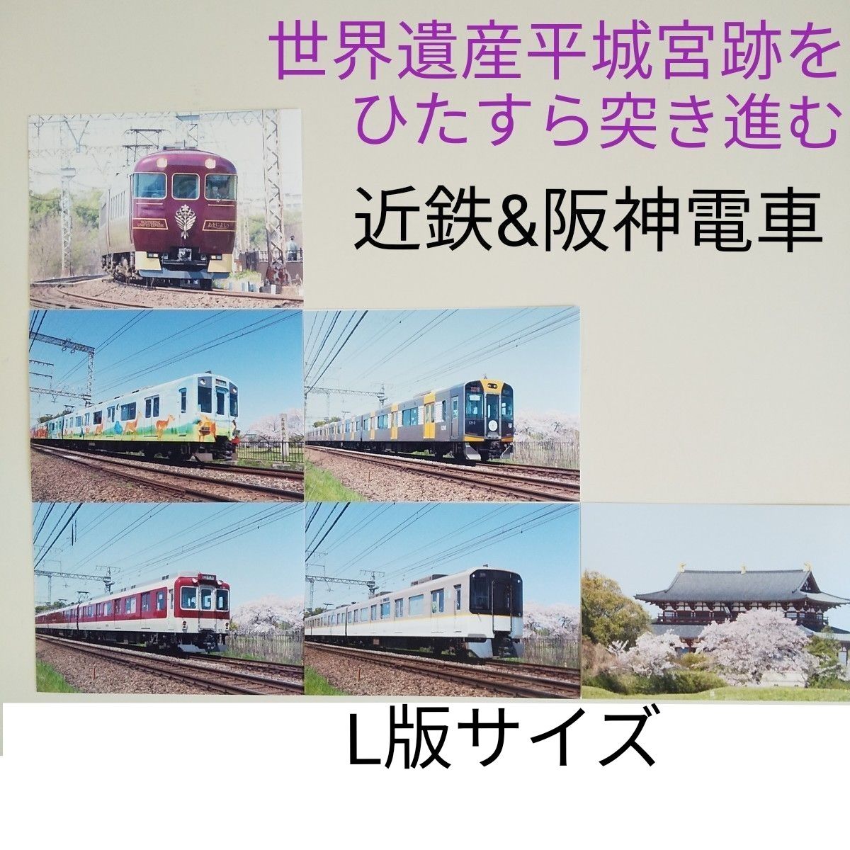 鉄道写真　近鉄電車　阪神電鉄　あをによし　ならしかトレイン　世界遺産平城宮跡　写真6枚セット　L版