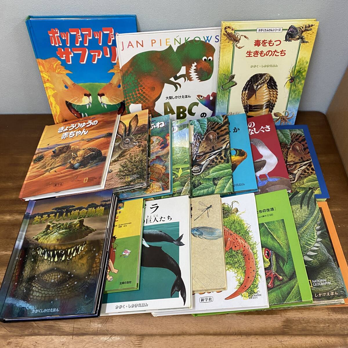  device picture book only large amount total 19 pcs. study beginning picture book stone chip puts out picture book together beautiful goods child care . kindergarten masterpiece popular set dinosaur picture book 3