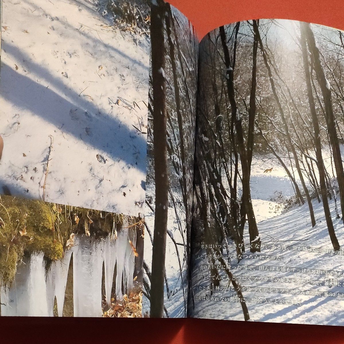 リサイクル図書　月刊 たくさんのふしぎ 　道　きみと出会いに　 福音館書店