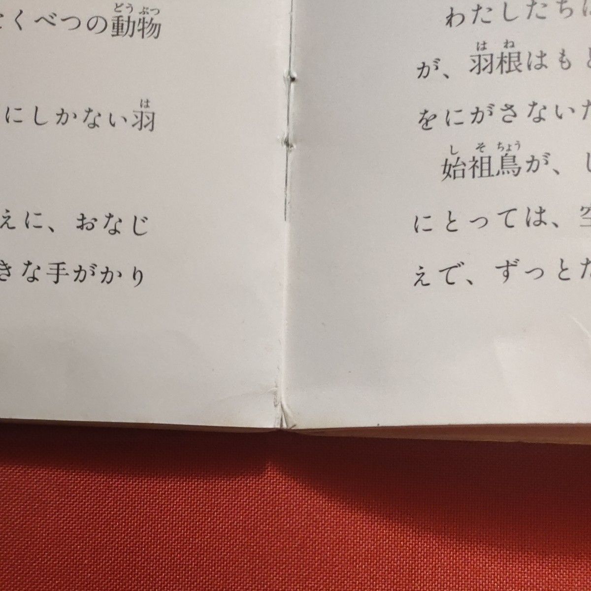 リサイクル図書　月刊 たくさんのふしぎ 　つばさをもった恐竜族　 福音館書店