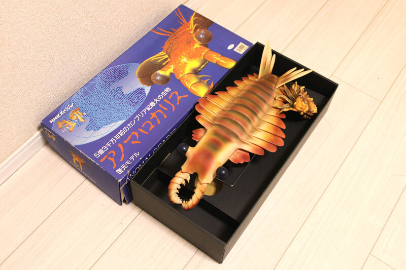 アノマロカリス ソフビフィギュア 外箱付「NHK 生命 40億年はるかな旅」復元モデル 1994年発売 株式会社ブンカ