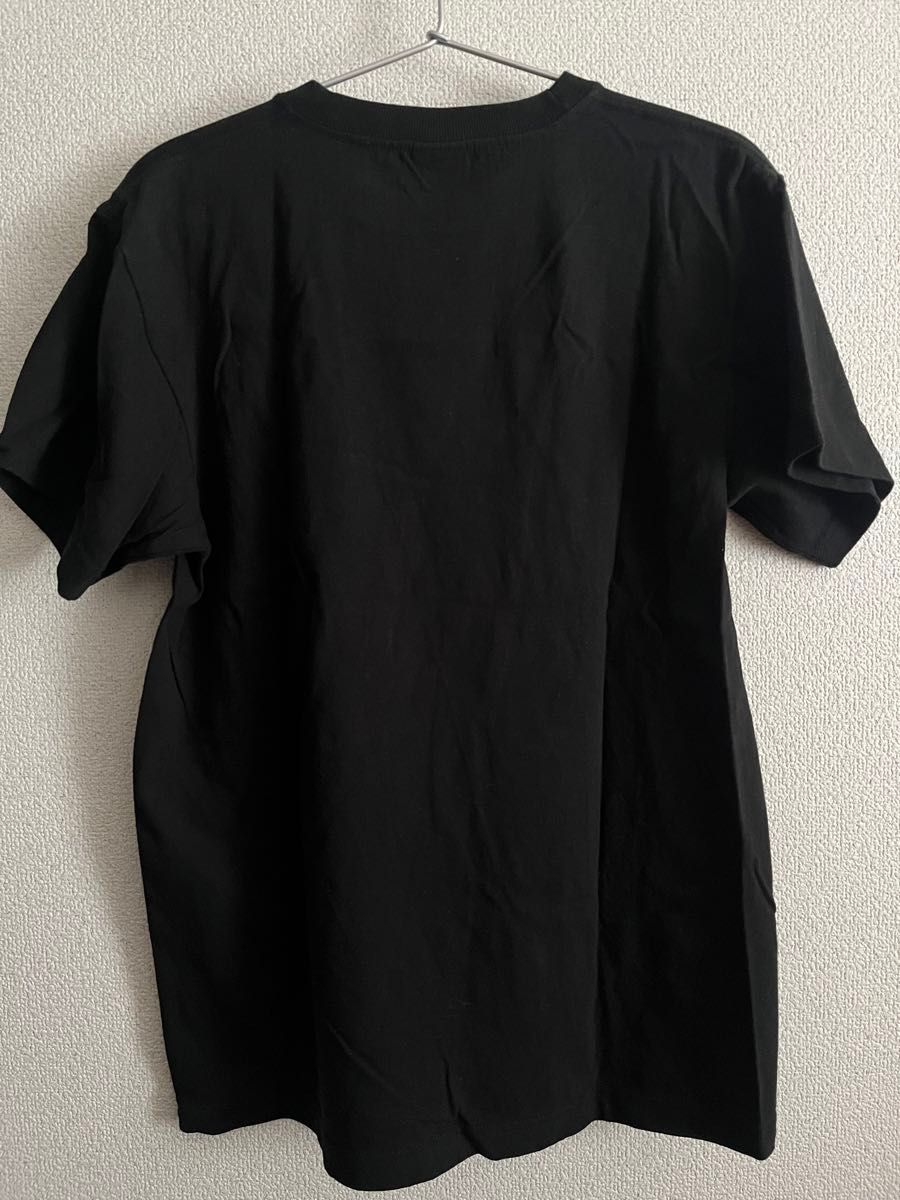 ザ・クロマニヨンズ MOUNTAIN BANANA 2023ツアー Tシャツ 甲本 ザ・クロマニヨンズ MOUNTAIN BANANA 2023ツアー Tシャツ 甲本