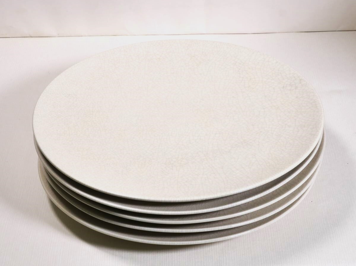 大皿29cm 5枚セット / 飛白 丸皿 / 和食器 洋食器 / ホワイトの画像1